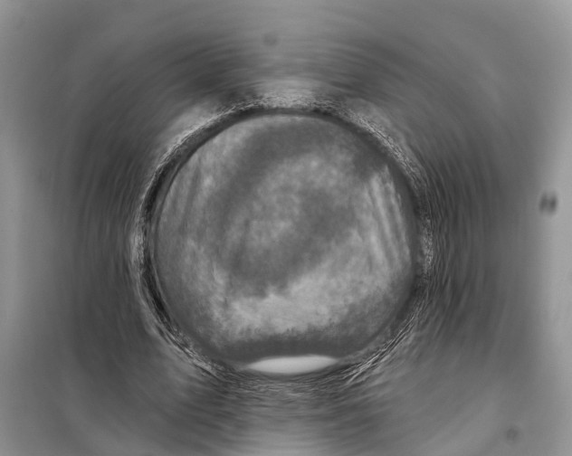 X0000097890583200804111020