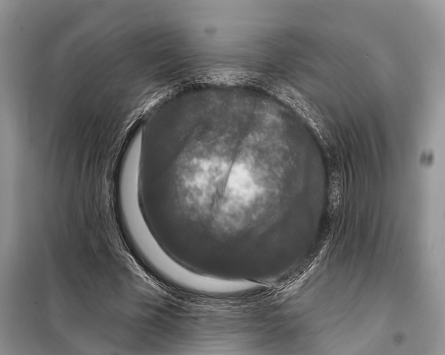 X0000097890585200804111020