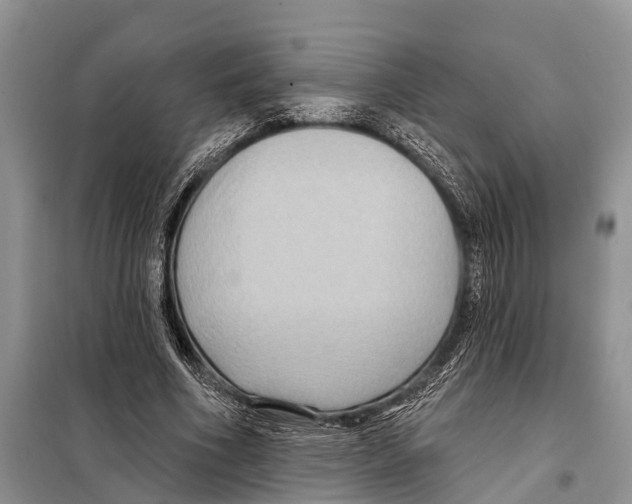 X0000097890586200804111020