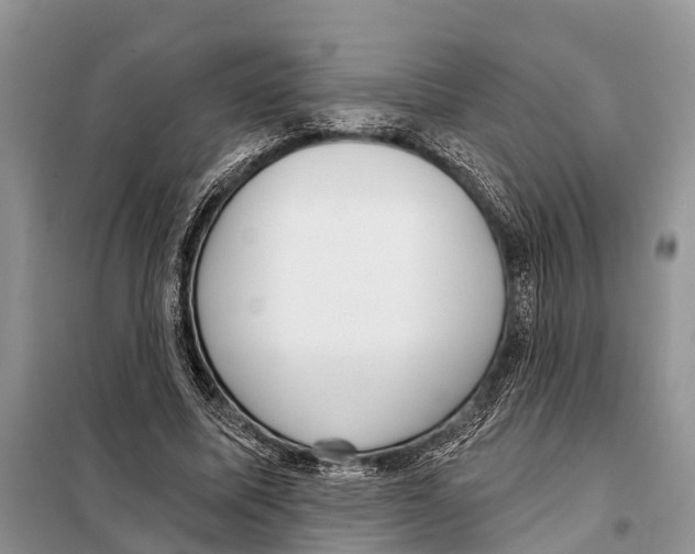 X0000097890587200804111020