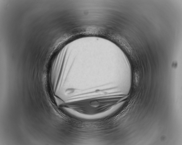 X0000097890588200804111020