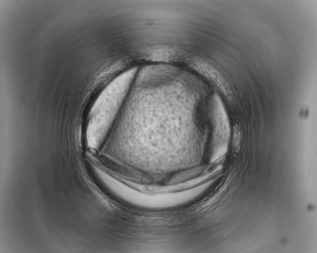 X0000097890589200804111020