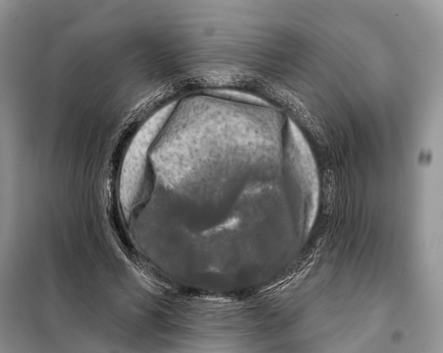 X0000097890590200804111020