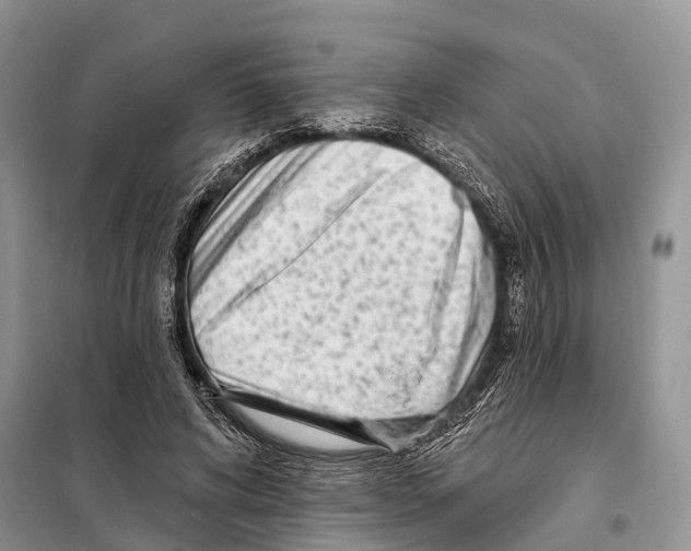 X0000097890592200804111020