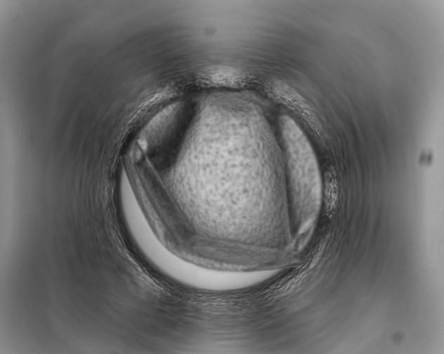 X0000097890593200804111020