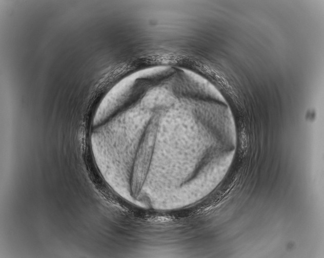 X0000097890594200804111020