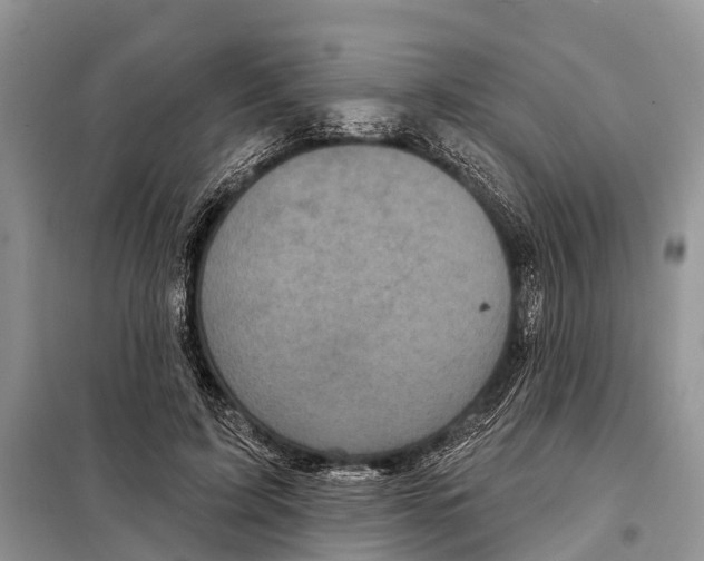 X0000097890595200804111020