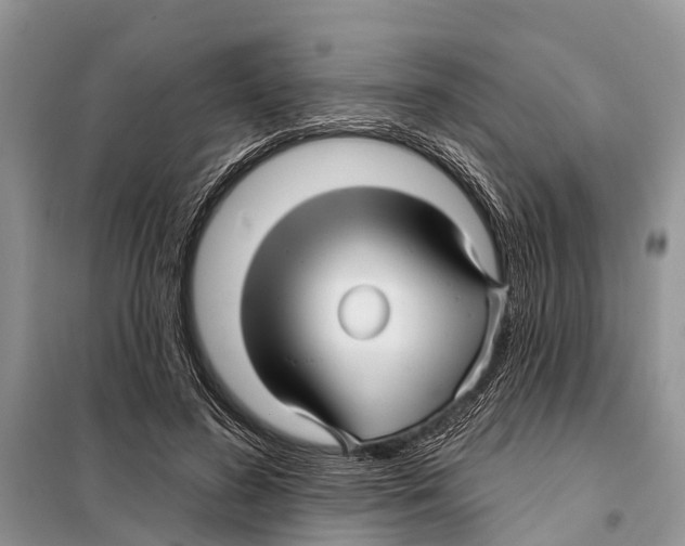 X0000097890596200804111020