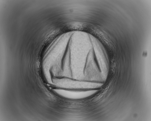 X0000097890597200804111020