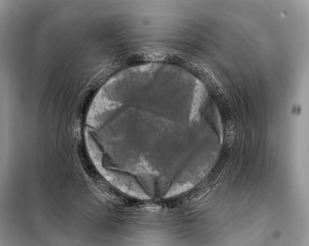 X0000097890598200804111020