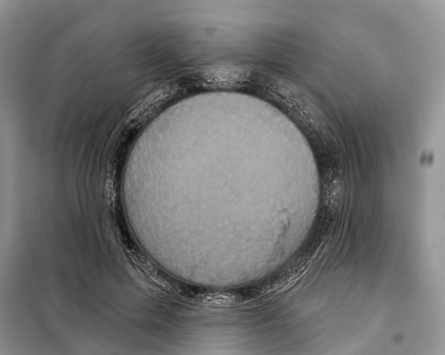 X0000097890599200804111020