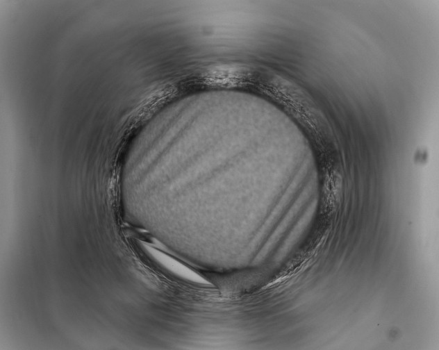 X0000097890601200804111020