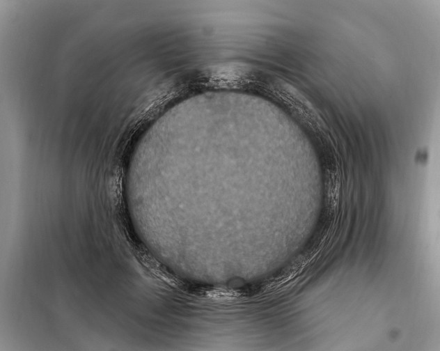 X0000097890603200804111020