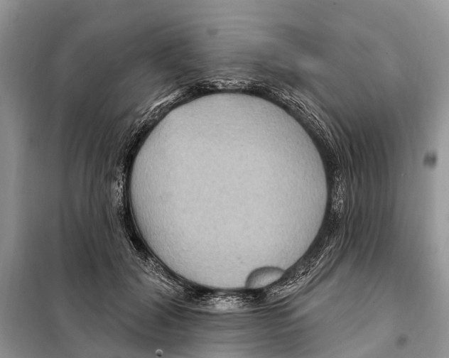 X0000097890604200804111020