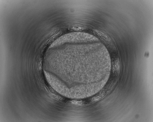 X0000097890606200804111020