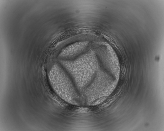 X0000097890609200804111020