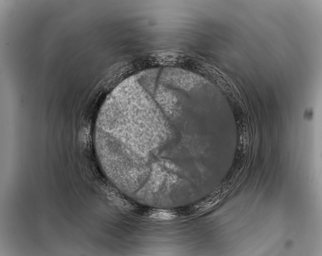 X0000097890610200804111020