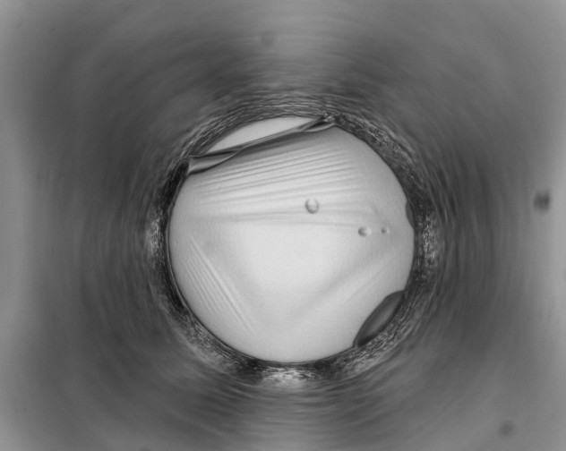 X0000097890611200804111020