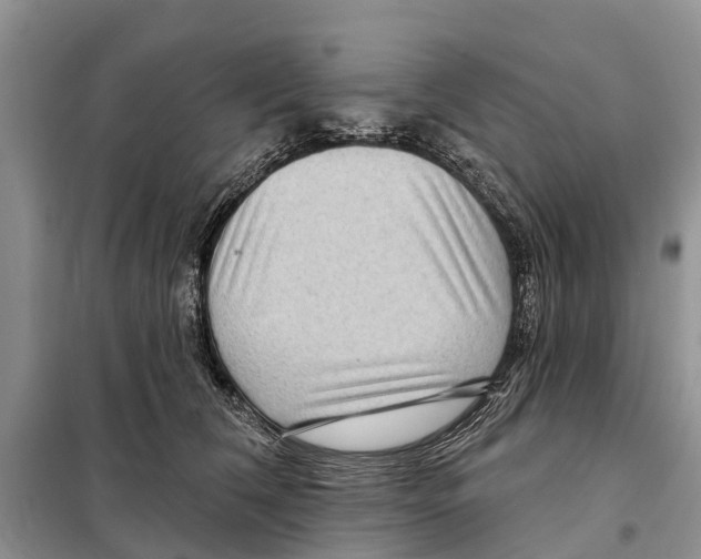 X0000097890612200804111020