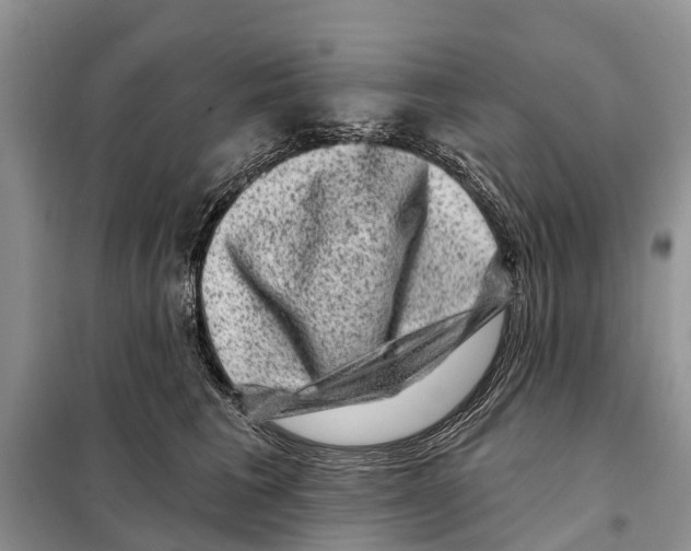 X0000097890613200804111020