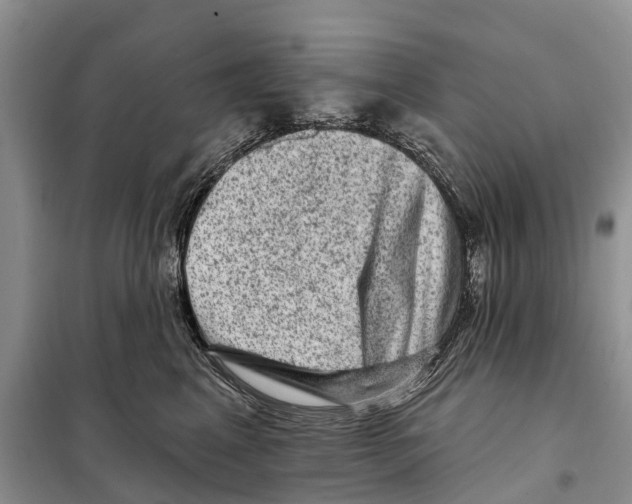 X0000097890617200804111020