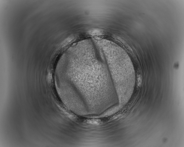 X0000097890618200804111020