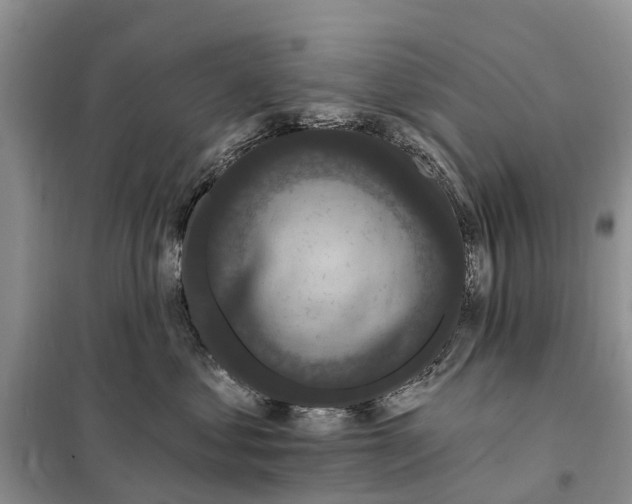 X0000097890621200804111020