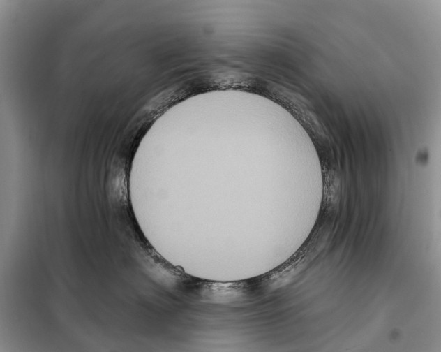 X0000097890622200804111020