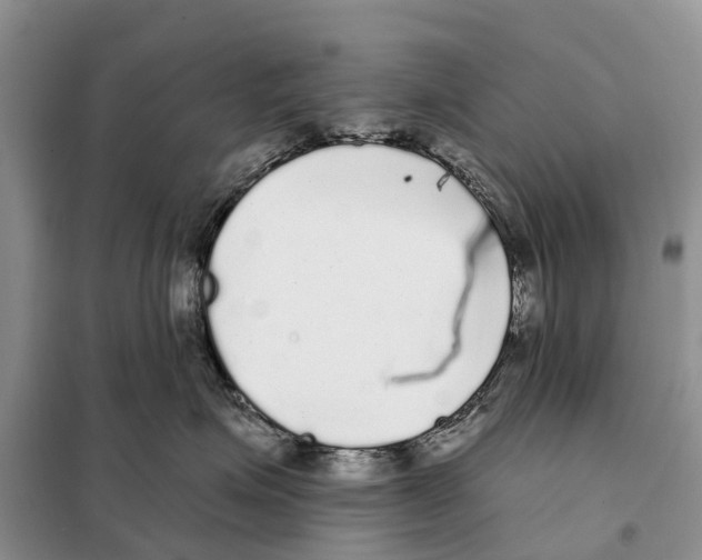 X0000097890623200804111020