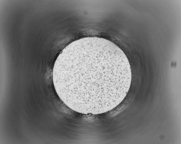 X0000097890624200804111020