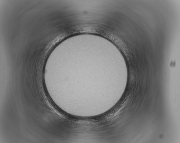 X0000097890625200804111019