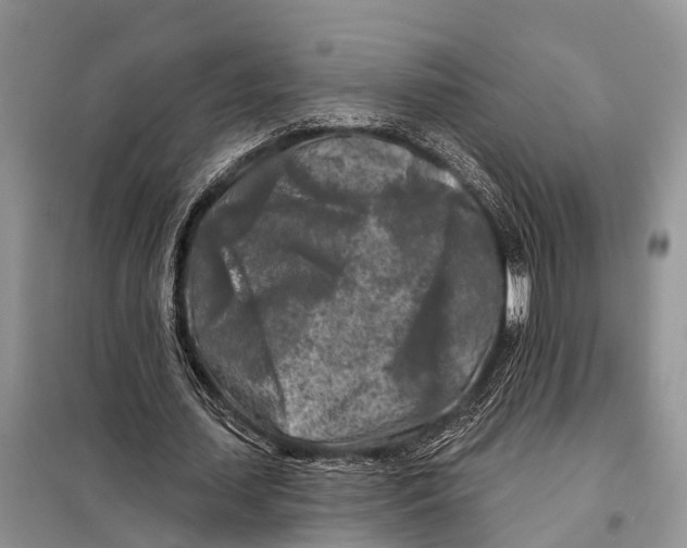 X0000097890627200804111019