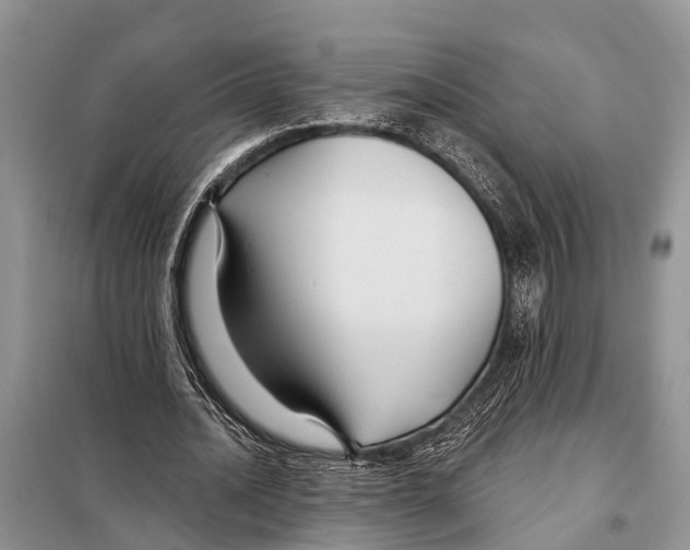 X0000097890628200804111019