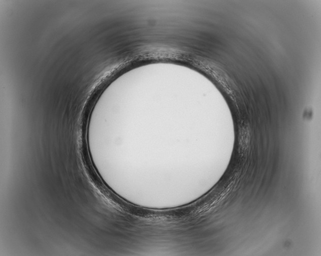 X0000097890629200804111019