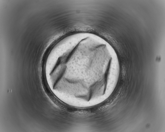 X0000097890630200804111019