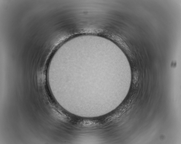 X0000097890632200804111019