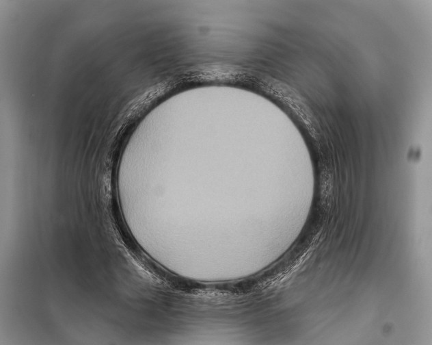 X0000097890633200804111019