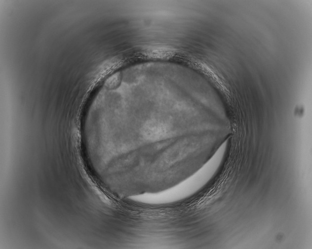 X0000097890634200804111019