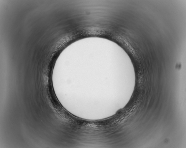 X0000097890635200804111019