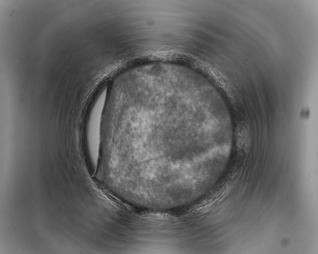 X0000097890637200804111019