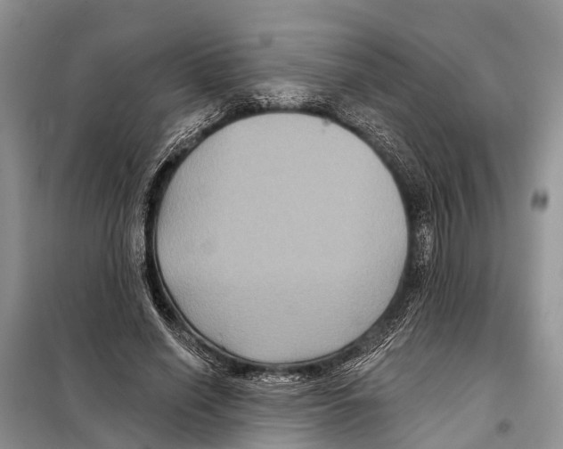 X0000097890638200804111019