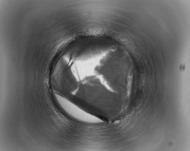 X0000097890640200804111019