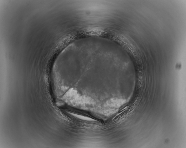 X0000097890641200804111019