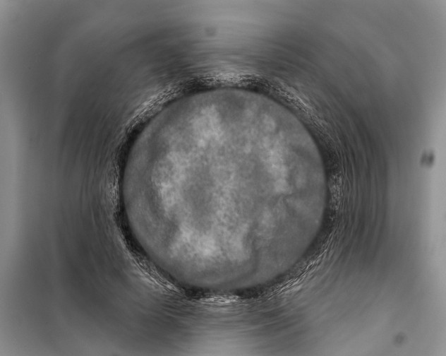 X0000097890642200804111019