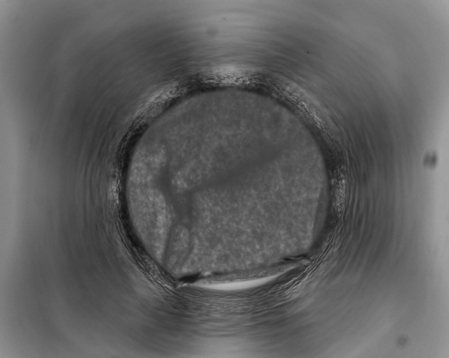 X0000097890643200804111019