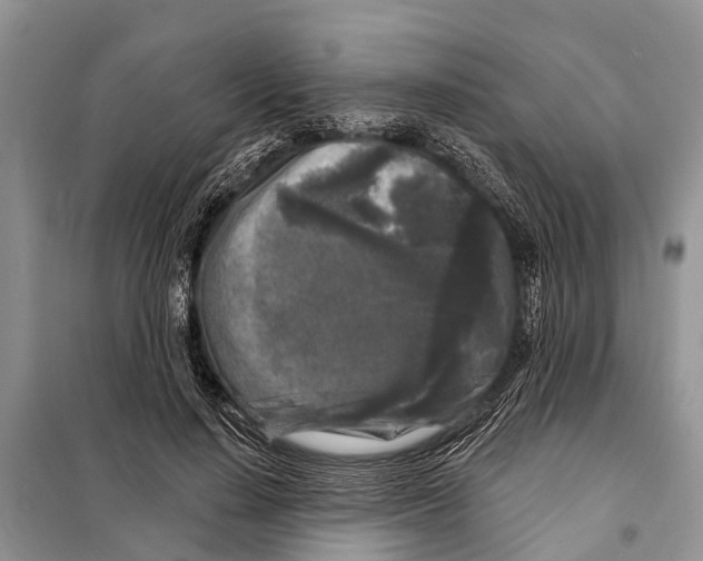 X0000097890644200804111019