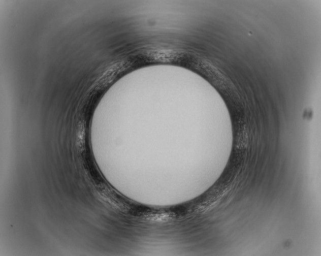 X0000097890646200804111019