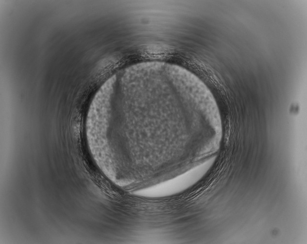 X0000097890647200804111019