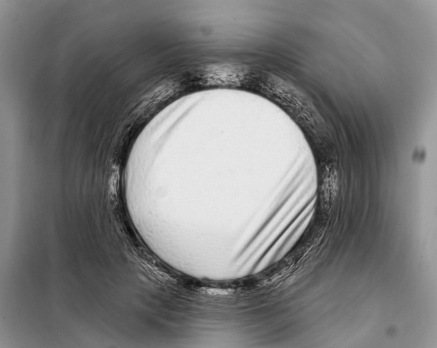 X0000097890649200804111019