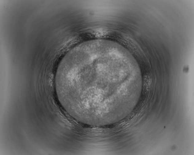 X0000097890650200804111019